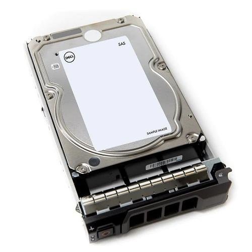 Dell 20TB 161-BBTX SAS ISE 12Gbps Hard Drive